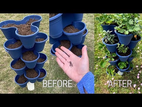 *NEW* Stackable Planter DIY / Before & After / Q & A / Dollar Tree Stackable Planter Vertical Garden