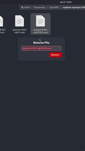 Open vpn configuration in Kali Linux