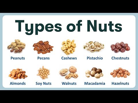 Types of Nuts | List of Nuts in English with Pronunciations and Pictures