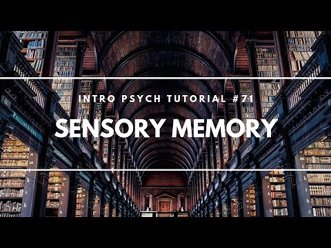 Sensory Memory (Intro Psych Tutorial #71)