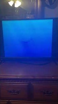 Finding Nemo (2003) Dory Speaks Whale VHS Capture