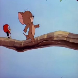 33K views · 1K reactions | Best Cartoon Netflix 2024 | Cartoon Videos | Facebook