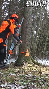 Tree Felling Tool | EDWIN - TECH