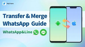 This guide will demonstrate how to transfer or merge WhatsApp data between an iPhone and an Android device using iMyTrans. Free Try: https://bit.ly/41rapv7 | iMyFone | Facebook