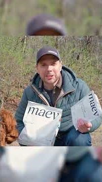 My Dog Auggie Loves Maev!