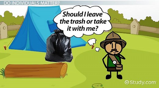 Ways to Help & Protect the Environment | Actions & Significance