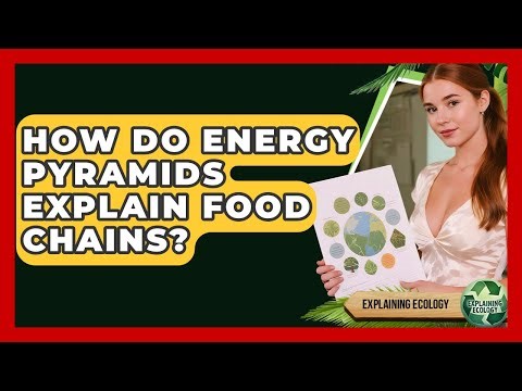 How Do Energy Pyramids Explain Food Chains? - Explaining Ecology