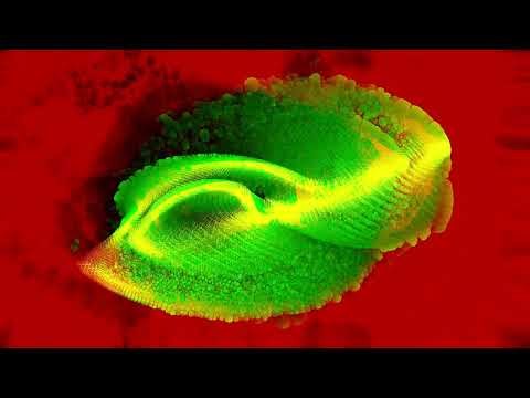 Sakura Logic: Shibuya Stream Processing