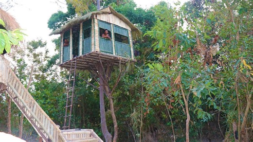 Building a Secret Treehouse in the Jungle