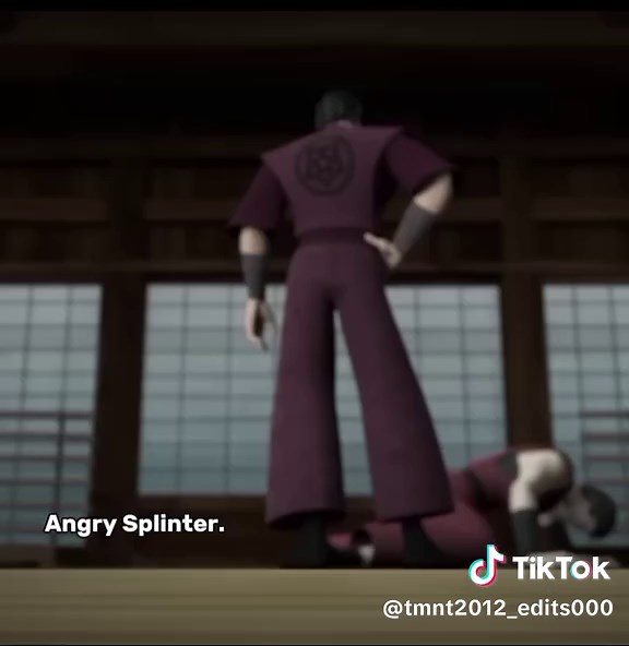 Splinter Fury: TMNT 2012 Edits