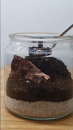 How to make a terrarium - Easy Guide