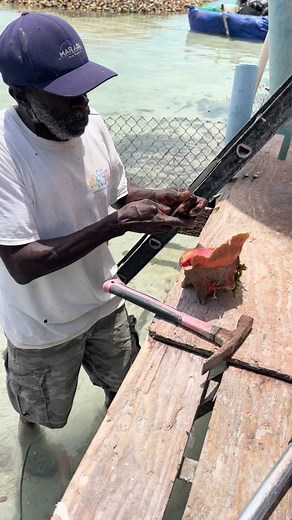 Saltwater Salvation on TikTok