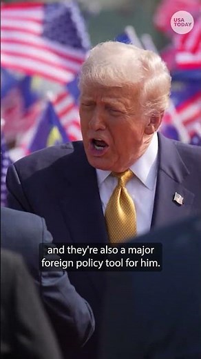 Are Trump's tariffs too big to fail at the Supreme Court?