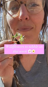 151K views · 4.5K reactions | Are spring flowers opening up yet where...