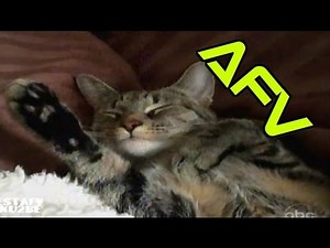 ☺ AFV Part 218 (NEW!) America's Funniest Home Videos (Funny Clips Fail Montage Compilation)
