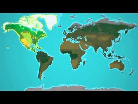 How Many Continents are There in the World? - Learn & Grow Kids Geography Lesson | LeapFrog