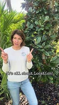 Guide to Choose the Right Magnolia Tree for You!