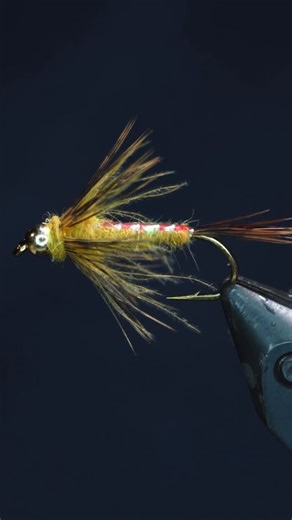 BC Flyguys on Instagram: "Back at the vice🤟🏻 Kicking off tying season with an @charliesflybox Golden Stonefly pattern that put in some work on the local rivers this summer. - Size 8 2xl nymph hook 1/8 Gold tungsten bead 12-15 wraps .020 lead wire 50d yellow nano silk Pheasant tail Large Opal tinsel 3x mono Golden brown dubbing Yellow CDC Hen Saddle - - - #flytying #tyingseason #goldenstone #stonefly #nymph #renzetti #master #vice #theflyshop #therapy #flytyingjunkie #flytyingaddict #flytyingpo