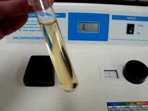 Spectrophotometer Use