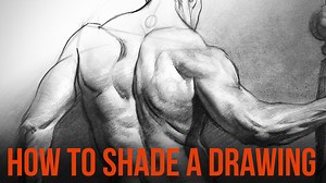 Let's get into shading a drawing! We'll explore form, planes and light on form. I'll guide you through making an object feeling 3 dimensional by indicating the elements of light on form - highlight, center light, halftones, core shadow, reflected light, cast shadow and occlusion shadow. How the local value of the object effects the tones. And how does intensity of light affect tones. Go to proko.com/store and use the code FB15 for a 15% off discount! | Proko