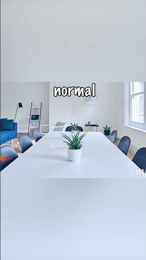 Where's Chicky "Collision" Sound Variations ShortPart Two | MODIFY EVERYTHING