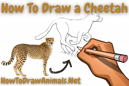 How To Draw a Cheetah - EASY Drawing Tutorial!