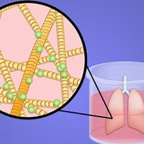 Video: Tissue Engineering and Regenerative Medicine