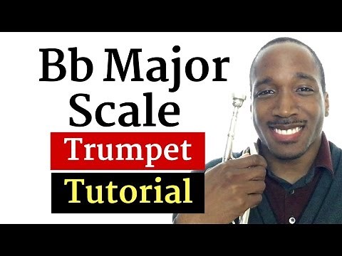 How to Play the B Flat Scale on a Trumpet