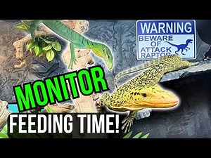 Feeding Time For My MONITOR LIZARDS!!! (Quince Monitor & Green Tree Monitor!)