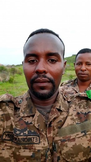 Understanding Military Camouflage Patterns in Field Settings