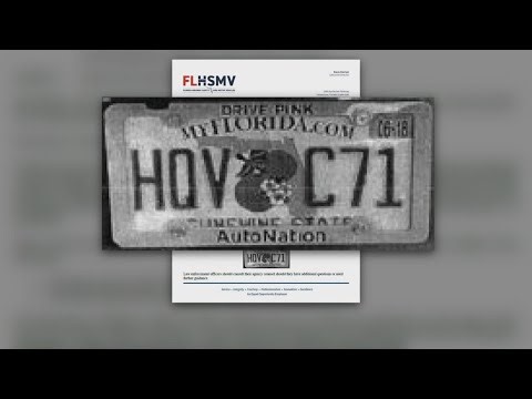 Florida Department of Highway Safety and Motor Vehicles sends memo on new license plate law
