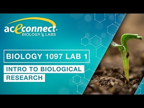 Biology 1097 Lab 1 || Intro to Biological Research