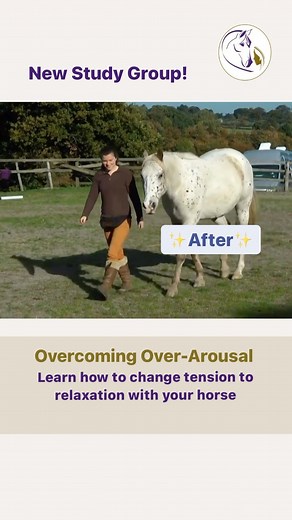 3K views · 76 reactions | Overcoming Over-Arousal in clicker trained...