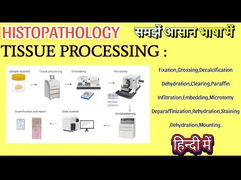 Tissue Processing in hindi | Tissue Processing in histopathology laboratory | Histopathology