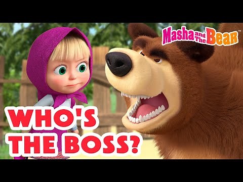 Masha and the Bear 2024 🤔 Who's The Boss? 👧🆚🐻 Best episodes cartoon collection 🎬