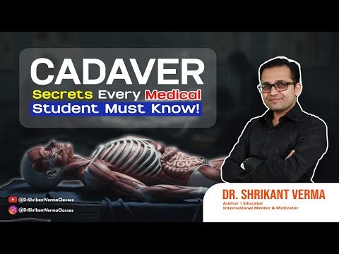 Cadaver Secrets Every Med Student Must Know | Anatomy Dissection Explained in Detail