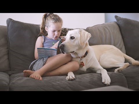 Autism Assistance Dog Awareness