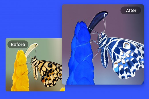 Color Inverter - Invert Image Colors Online for Free | Fotor