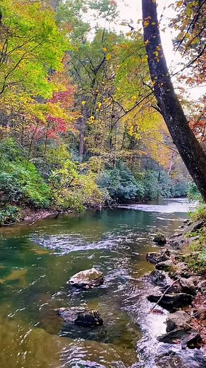 17K views · 846 reactions | Rank Stranger (Second Half of Song) by request. #rankstranger #bluegrassmusic #stanleybrothers #ralphstanley #carterstanley #coversongs #fallcolors #creekwater #fishinhole | Tammy Peden | Facebook
