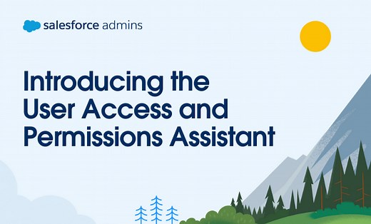 Analyze, Report, and Manage Permissions with the User Access and Permissions Assistant - Salesforce Admins