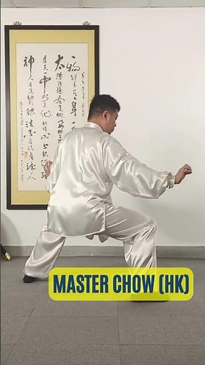 Chen Style Tai Chi for Seniors: A Gentle Practice for Health & Longevity| Hong Kong Tai Chi Demo