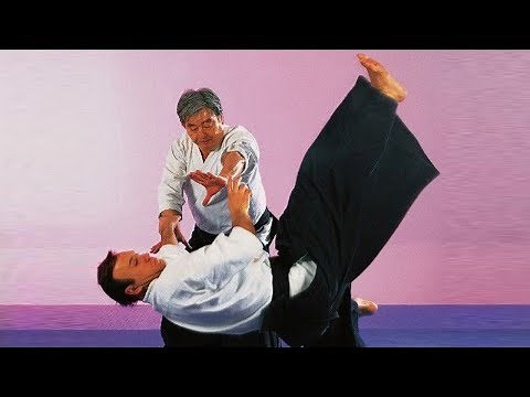 Aikido Technique