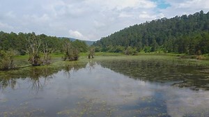 Free Spring Videos: 4K & HD | No Watermark | Download Now