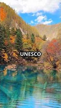 Best Fall Foliage Destinations 2025: Top 5 Places to See Peak Autumn Colors🍁