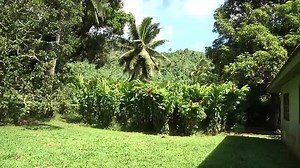 7K views · 128 reactions | Local News 19 May 2021 One of the landowners and caretakers of land in Takuvaine does not completely agree with some of the things said by other landowners about the filtration sludge from the Te Mato Vai water filtration system and wants it deposited on his land, as he believes it will be help fertilize the soil. Louis Enoka says his piece- | Cook Islands Television News | Facebook