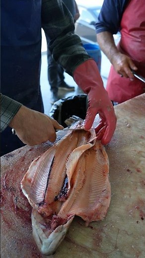 Cut Salmon into Butterfly Fillet for Wild Cooking