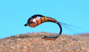 Fly Tying DIY: the Perdigon Nymph - Fly Fisherman