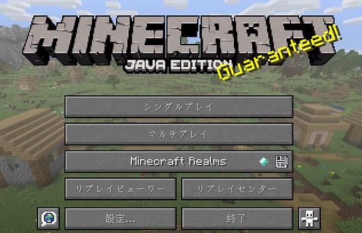 【マイクラ】ReplayModを導入！Fabric&FabricAPI【1.14.4】