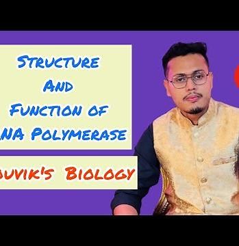 Structure and function of RNA Polymerase || Souvik's Biology