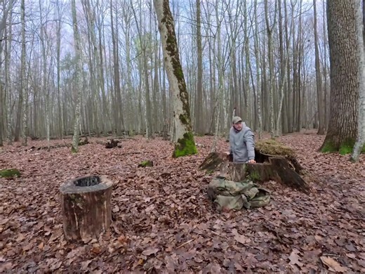 How to build a warm and sheltered shelter. Skills needed for survival in the forest. #camping #logcabin #solocamping #outdoors #campingclubs
